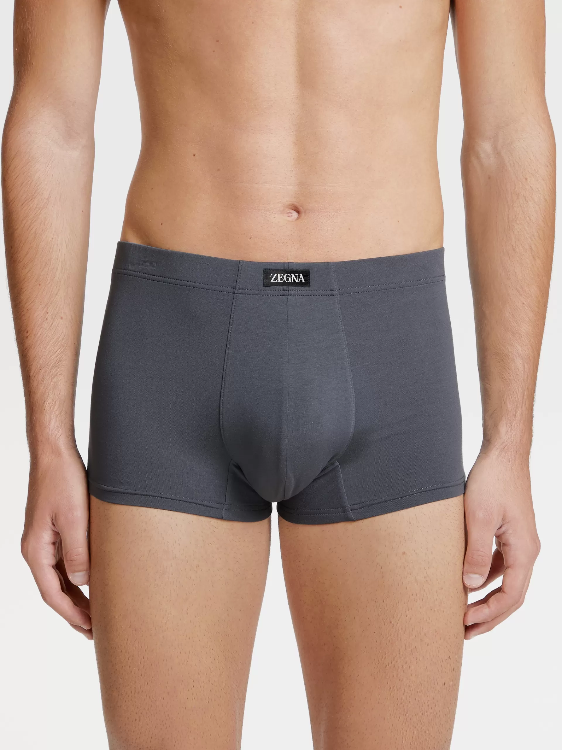 ZEGNA Roupa Interior E Meias^Boxers No Tom Em Modal Elastico. Cinzento-Ardosia